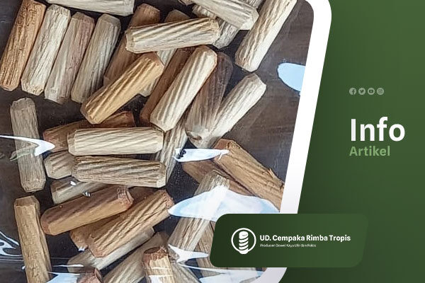 Cempaka-Rimba-Tropis-Blog-4