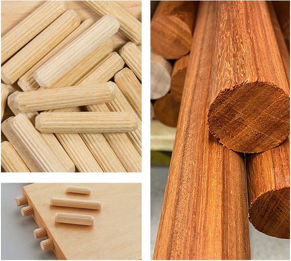 Cempaka-Rimba-Tropis-IMG